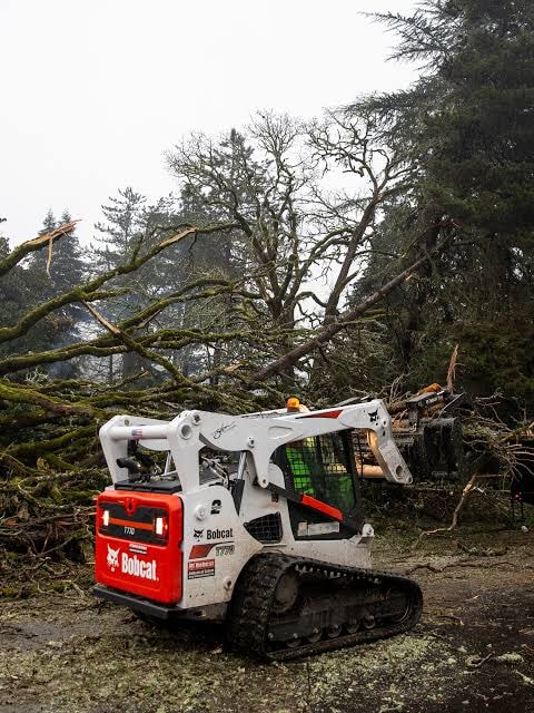 Storm Clean Up
